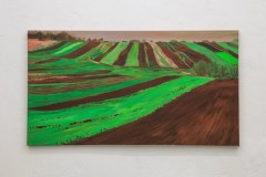2015-Garlica-Murowana-wiosna-pola-2015-60-x-110-cm-olej-płótno-1049-x-700